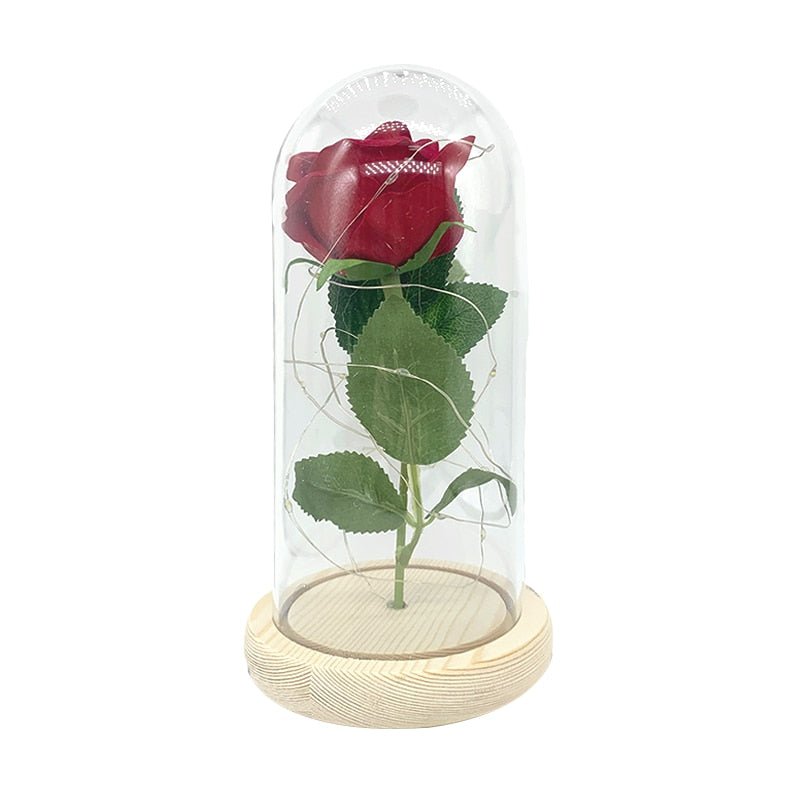 Beauty And The Beast Rose Rose In LED Dome Forever Rose Red Rose Valentin Day, Mother Day Special Romantic Gift