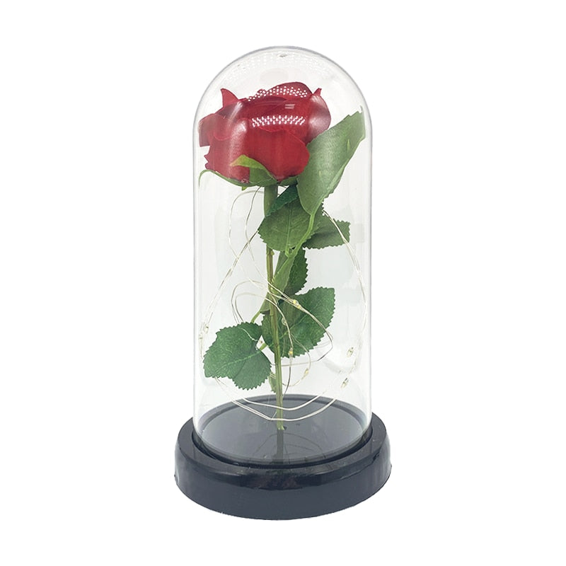 Beauty And The Beast Rose Rose In LED Dome Forever Rose Red Rose Valentin Day, Mother Day Special Romantic Gift