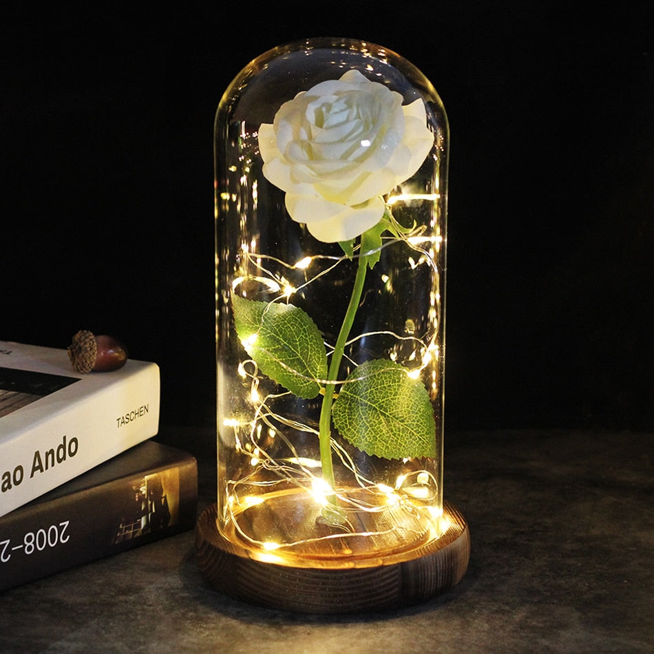 Beauty And The Beast Rose Rose In LED Dome Forever Rose Red Rose Valentin Day, Mother Day Special Romantic Gift