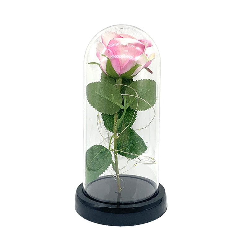 Beauty And The Beast Rose Rose In LED Dome Forever Rose Red Rose Valentin Day, Mother Day Special Romantic Gift