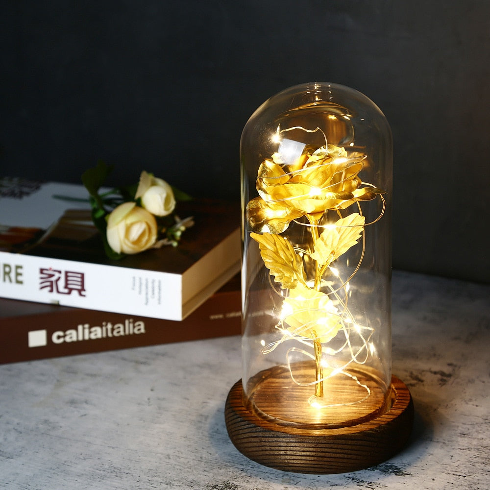 LED Enchanted Galaxy Rose Eternal 24K Gold Foil Flower With Fairy String Lights In Dome For Christmas Valentine Day Gift